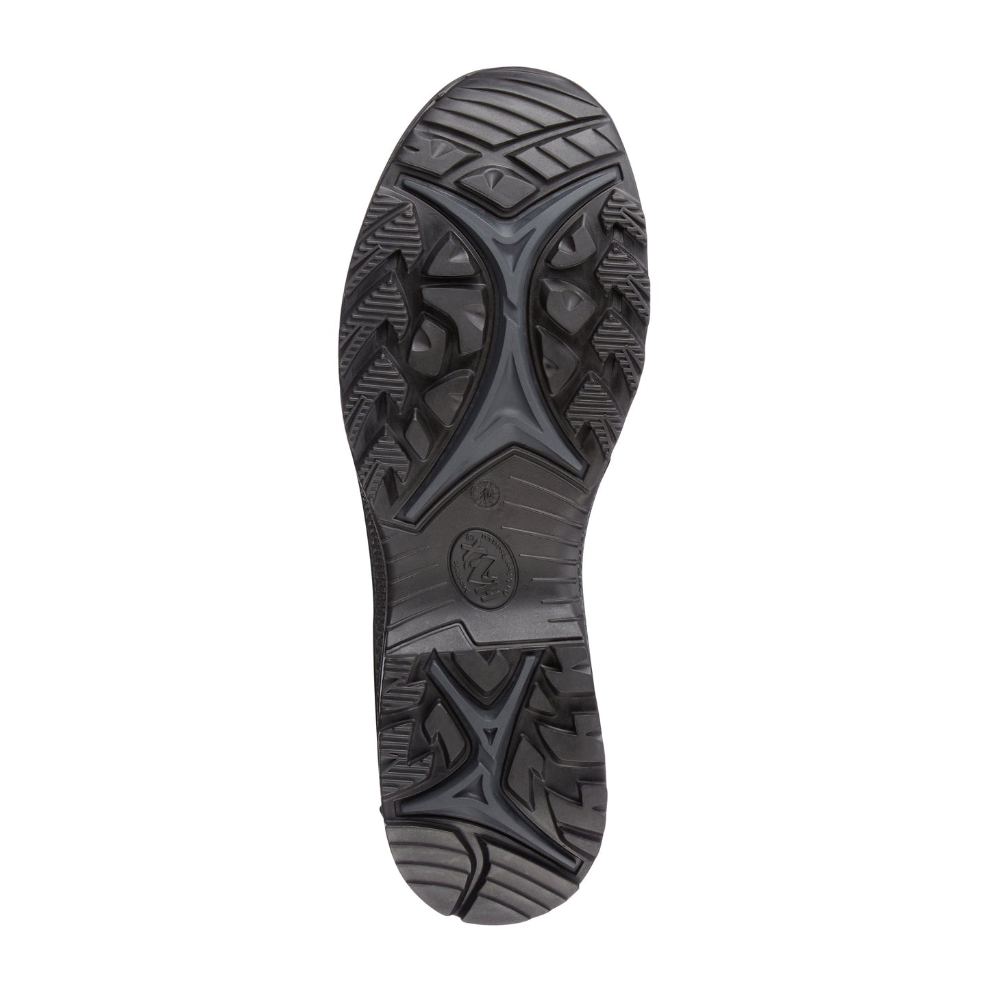 Black Eagle Athletic Shoe 2.0 N GTX