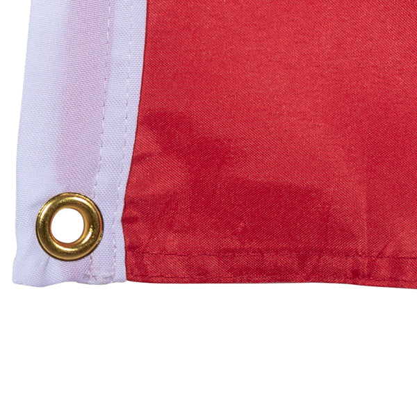 Switzerland Flag 120 x 120 cm