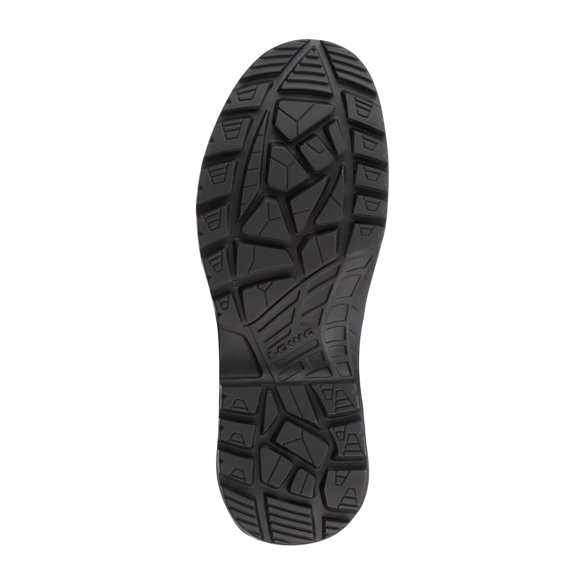 Boots Z-6S GTX C dark