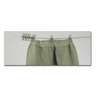 Cloths Line with Cloths Pins
