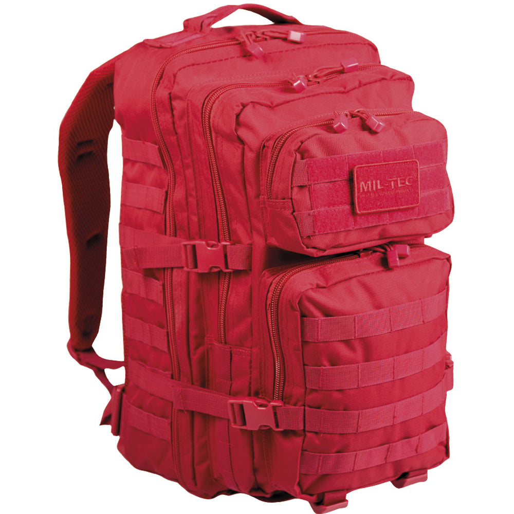 Backpack US Assault Pack LG