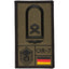 Rank Patch Hauptfeldwebel Luftwaffe