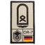 Rank Patch Hauptfeldwebel Luftwaffe