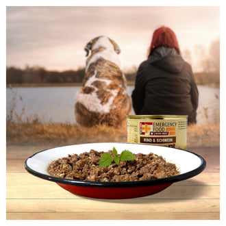 Básicos Carne Carne De Res Cerdo