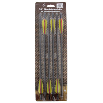 Confezione in alluminio da 20 Zoll 6er