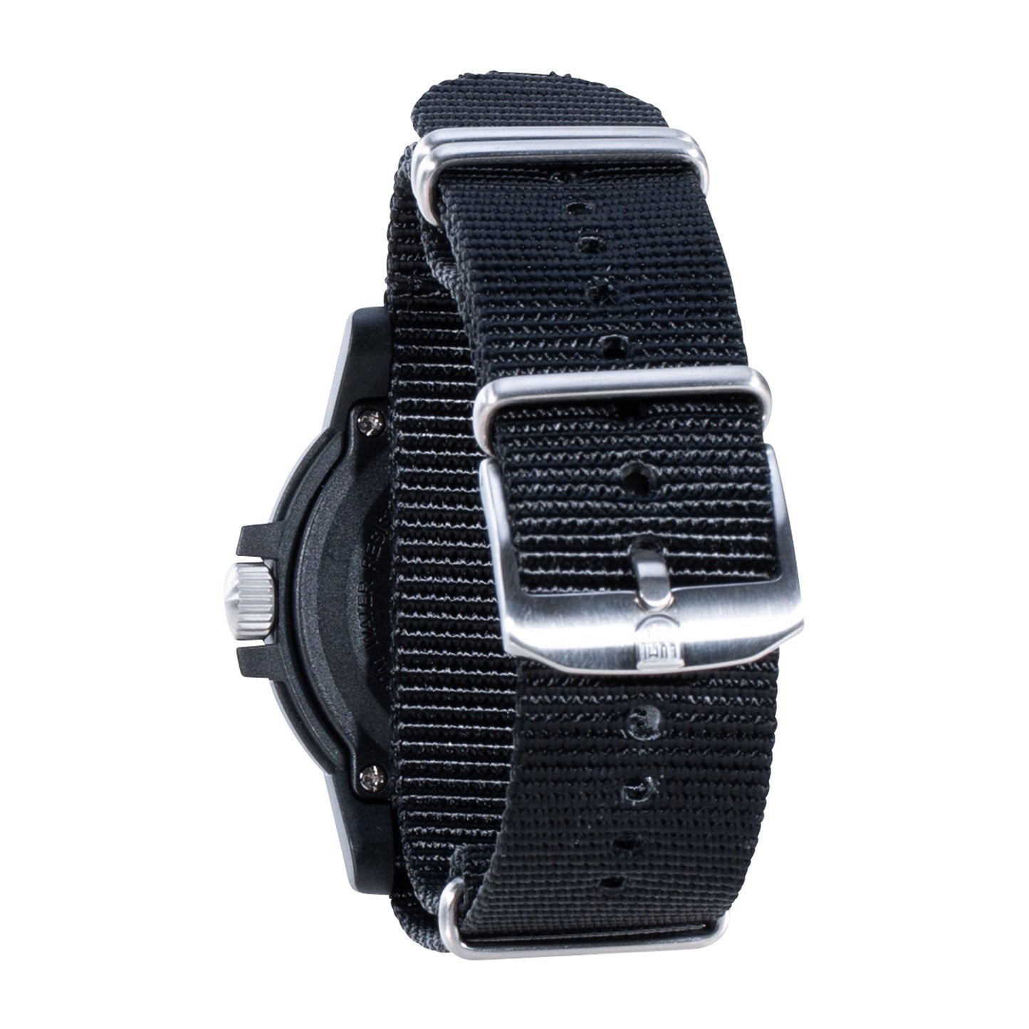 Watch Leatherback SEA Turtle Giant 0320