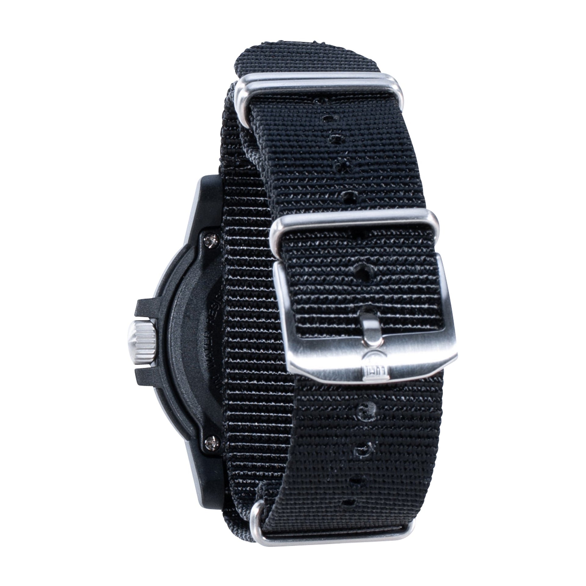 Watch Leatherback SEA Turtle Giant 0320