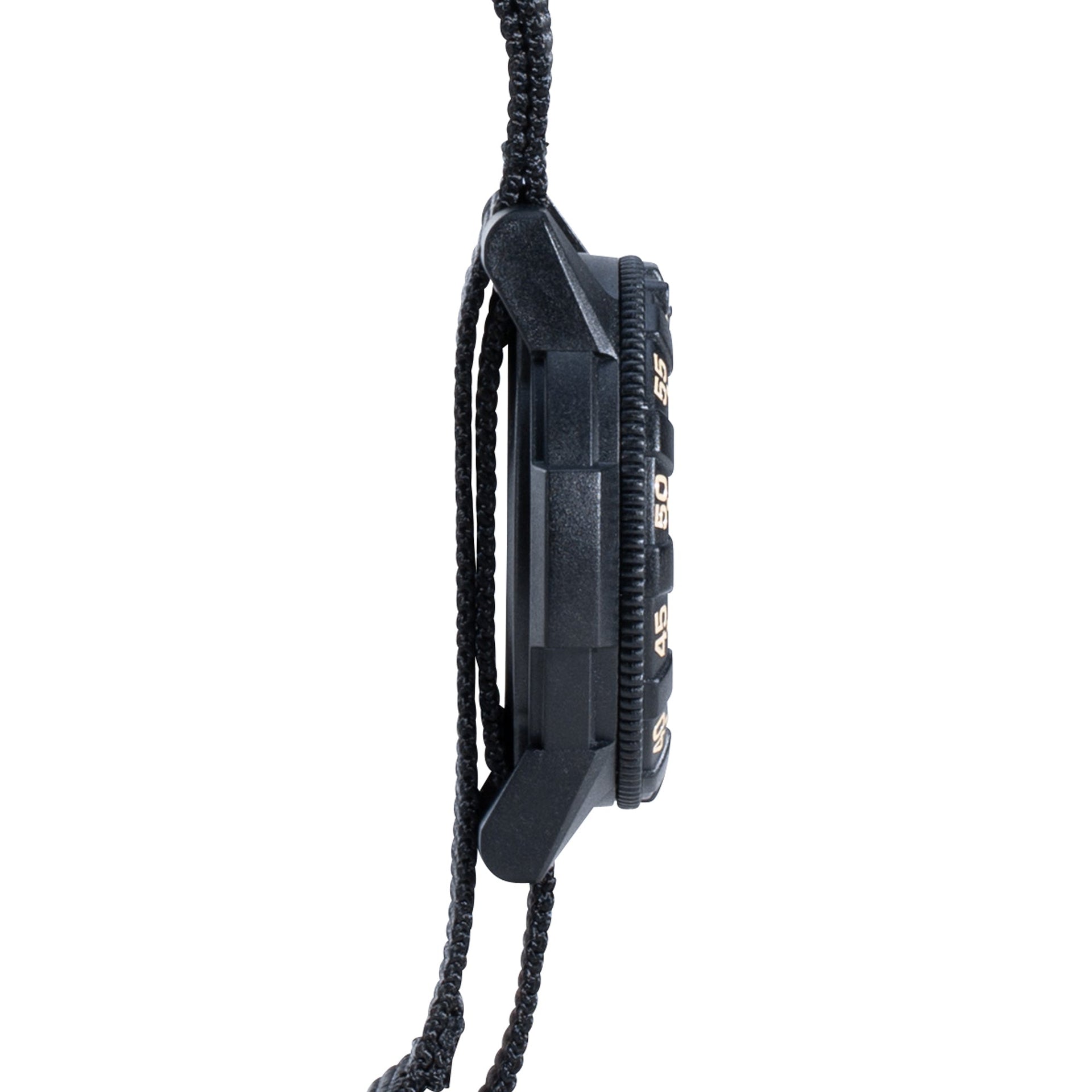 Watch Leatherback SEA Turtle Giant 0320