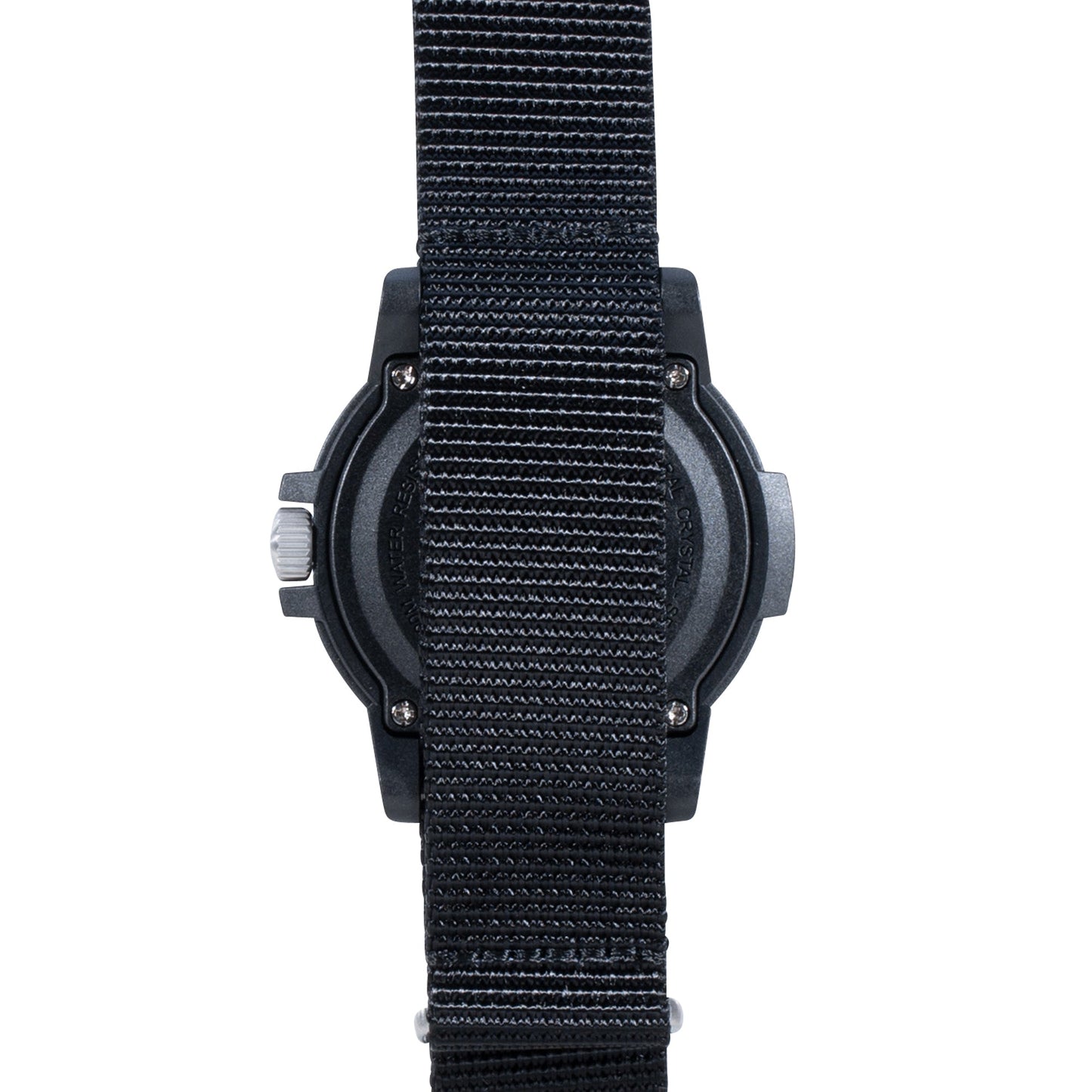 Watch Leatherback SEA Turtle Giant 0320