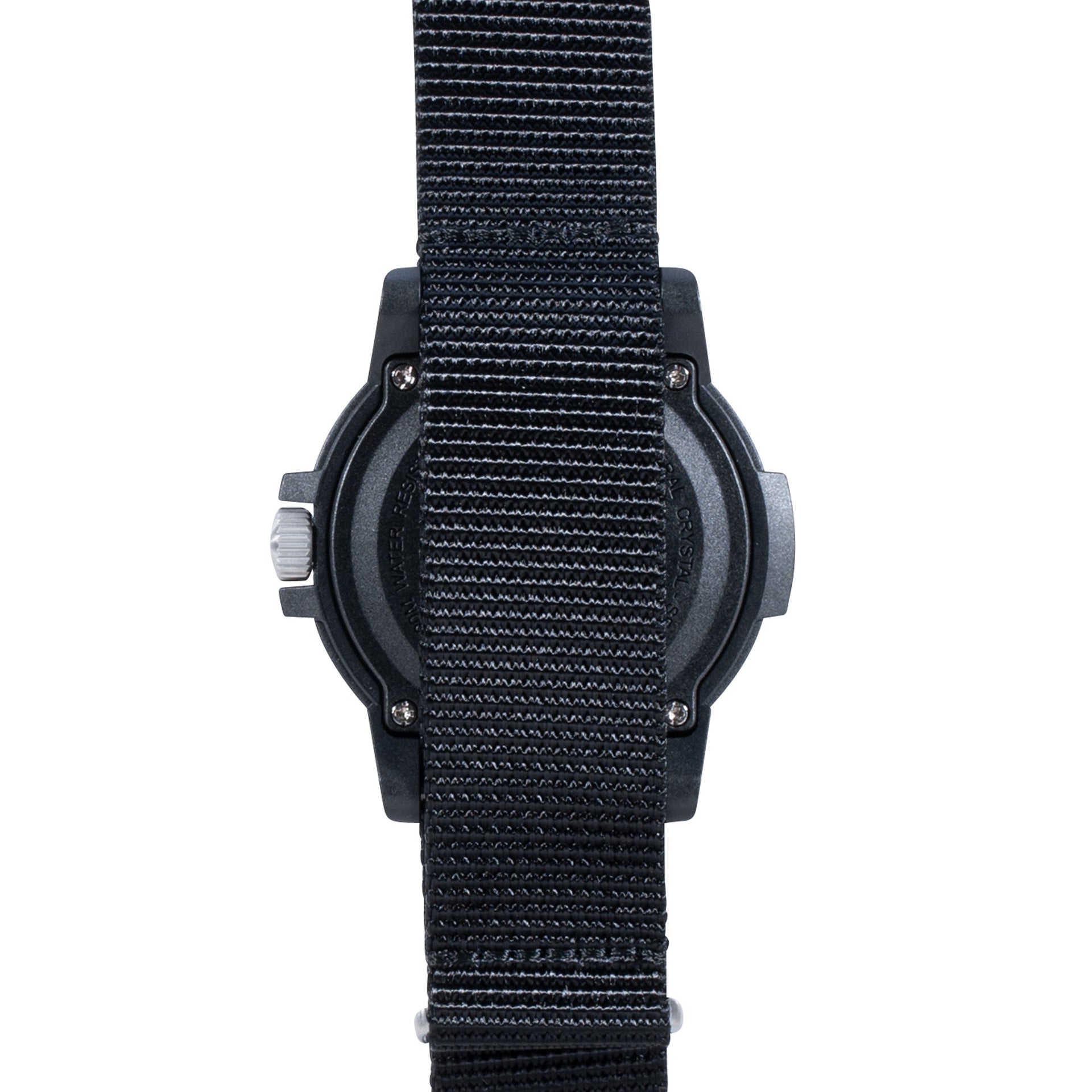 Watch Leatherback SEA Turtle Giant 0320